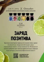 Страница 124